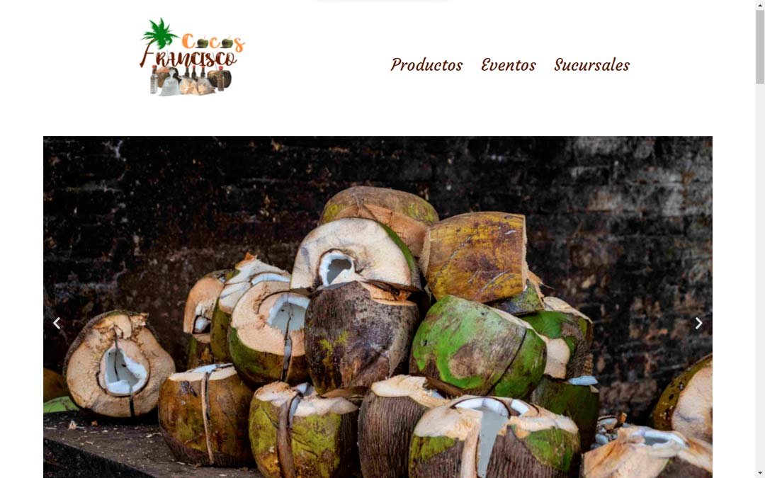 cocos-francisco-sitio-web-diseño-1