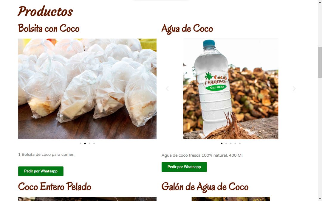 cocos-francisco-sitio-web-diseño-2