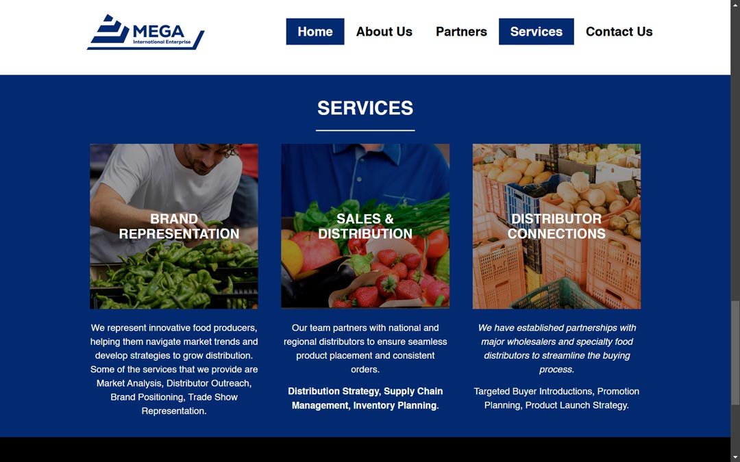 Mega-Enterprise-Diseño-de-sitios-Web-3