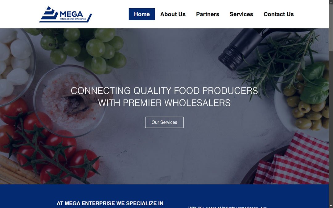 Mega-Enterprise-Diseño-de-sitios-Web