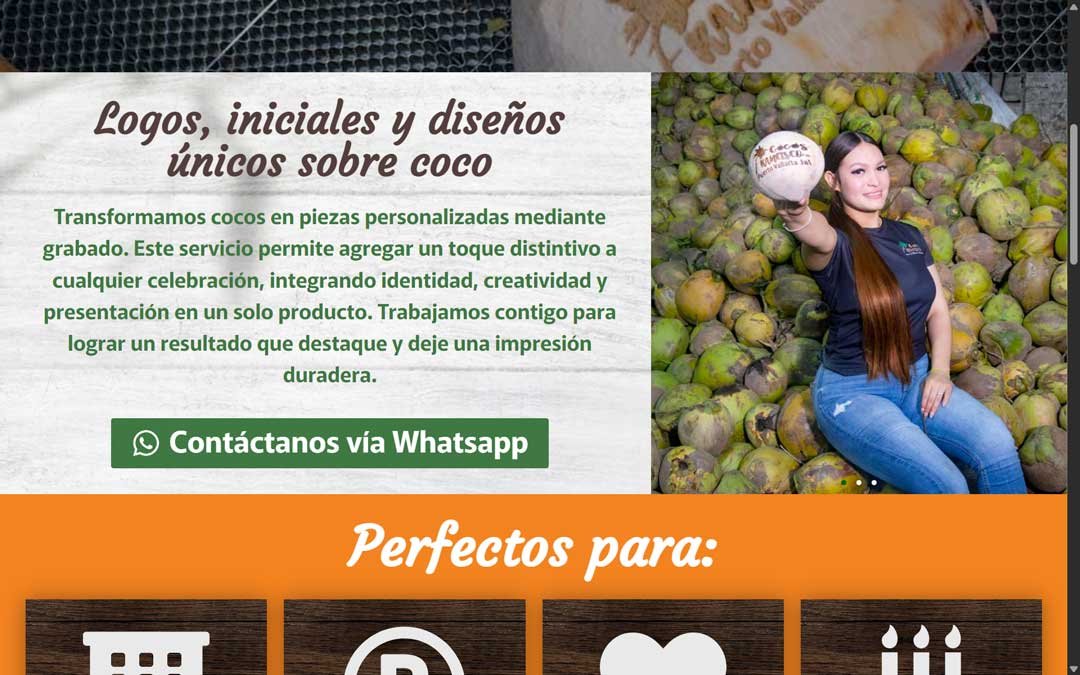 cocos-francisco-diseño-de-sitios-web-3