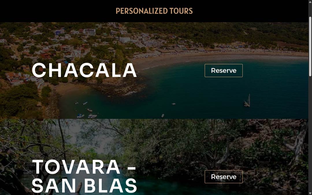 ola-sayulita-diseño-de-sitios-web-2